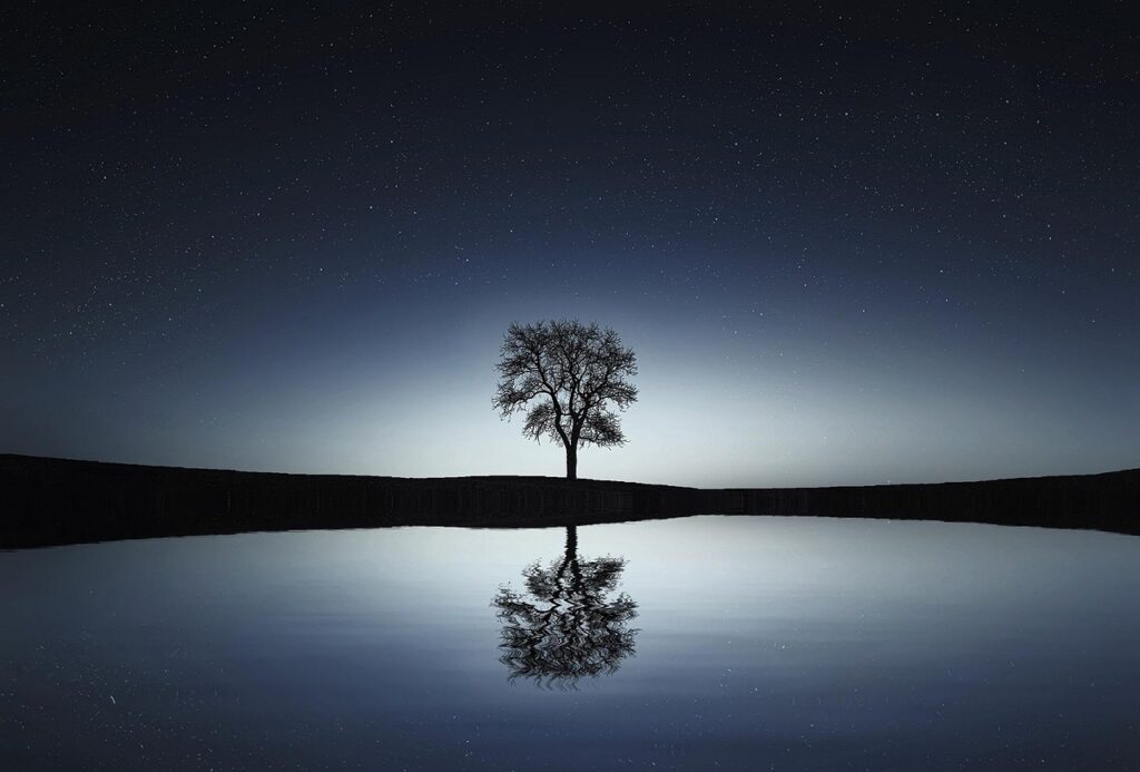 baum